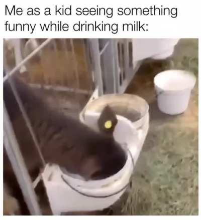 Hello fellow milk drinkers.