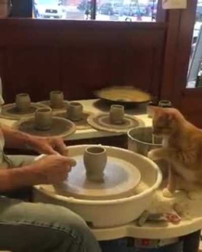 She wants ? to try it ? too ?