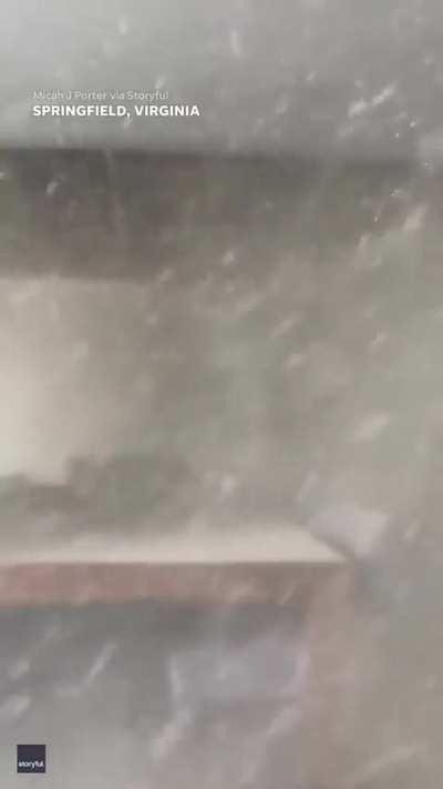 Did you get it on video?