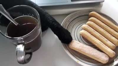 to make Tiramisu