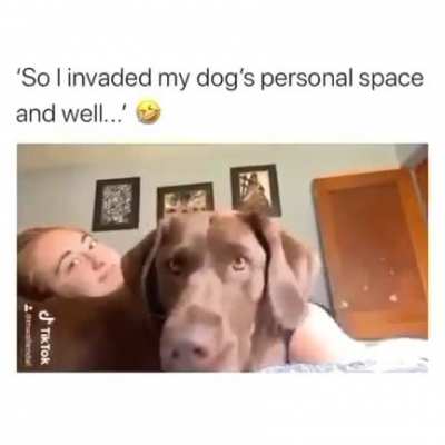 Dog ain't happy