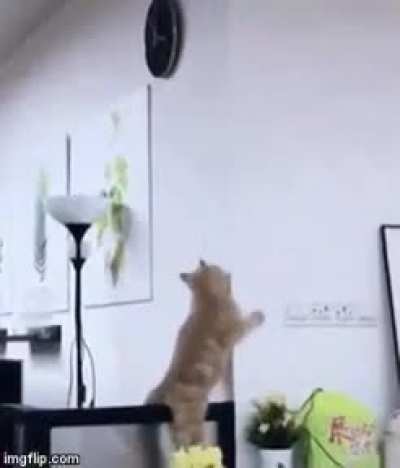 Climbing