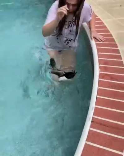 JERRY THE TITTY GRABBER PART 2!!!