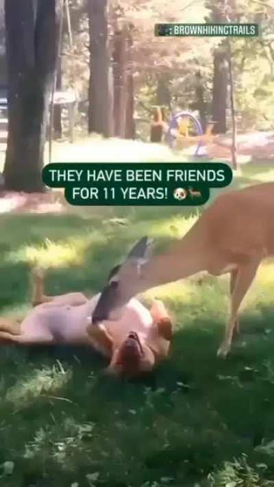 two BFFS