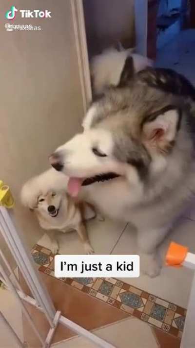 Karma
