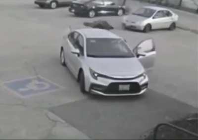 to defend against a bird