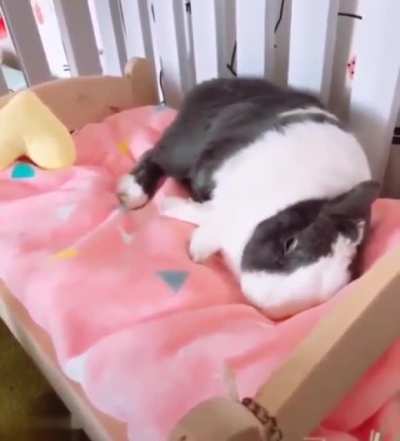 "Can't talk, late for bed!"