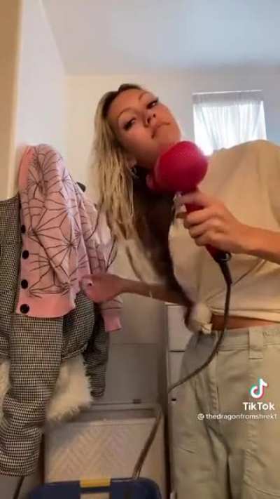 Dog won't let her blow dry her hair