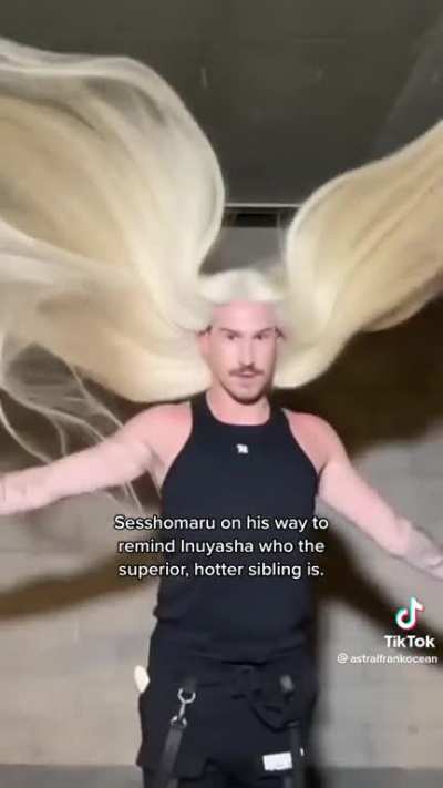 Sesshoumaru was always the superior brother