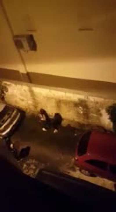 Maybe Maybe Maybe