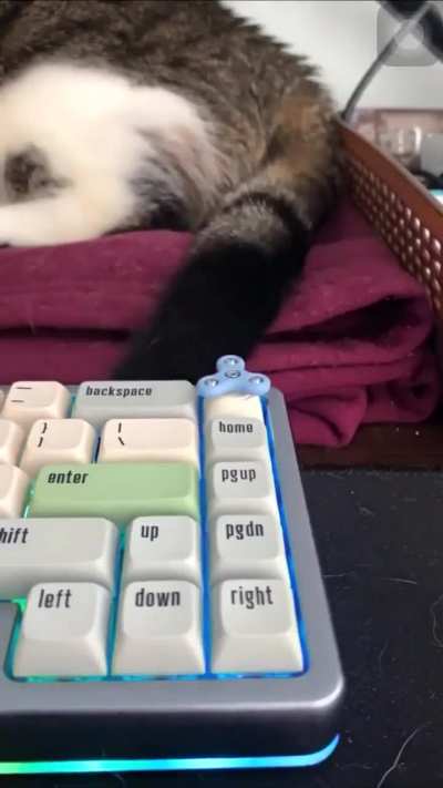Maybe maybe maybe