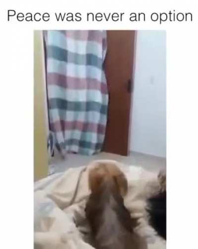 didn't go quite as planned!