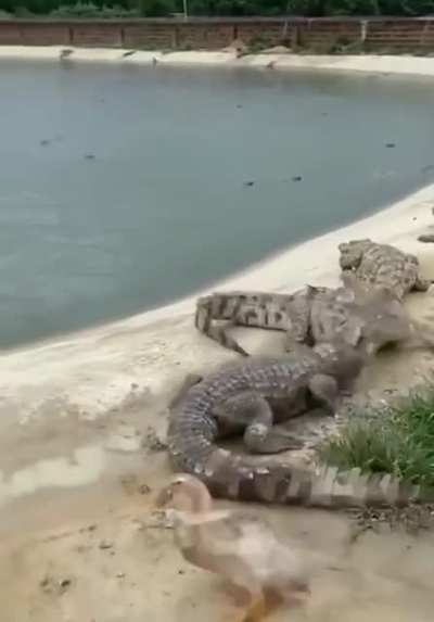 That was close.