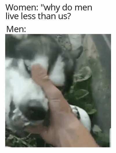 Yes indeed