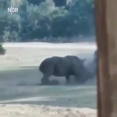 ? that strength