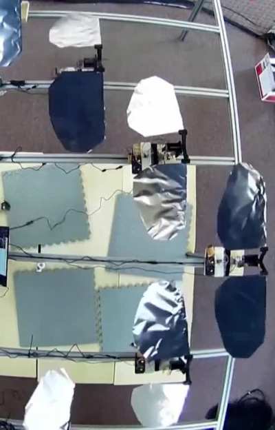Dead bird drones by Mexican researchers