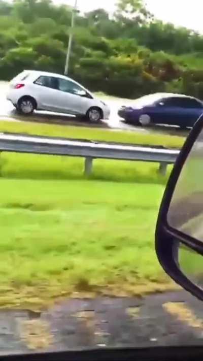 Idiot against the grain