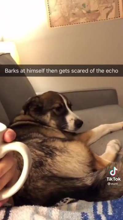 Didn't meant that!