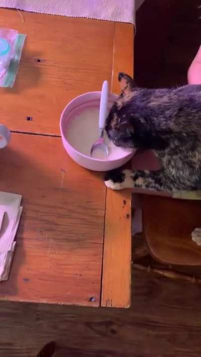 Mmm Milk! (sound on)