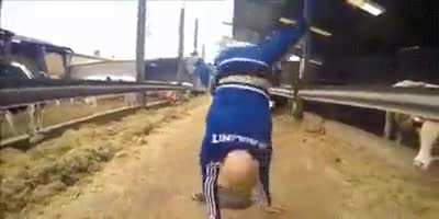 Breakdancing near a pile of dung.