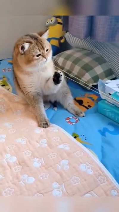 Maybe maybe maybe