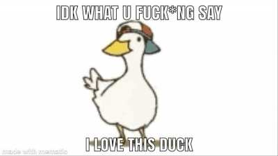 "So u think this duck is cute?" Yes and im tired of pretending its not