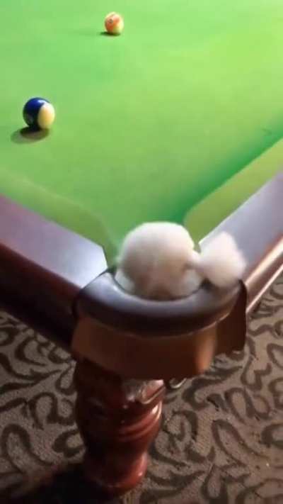 "Don't worry, I got it!"