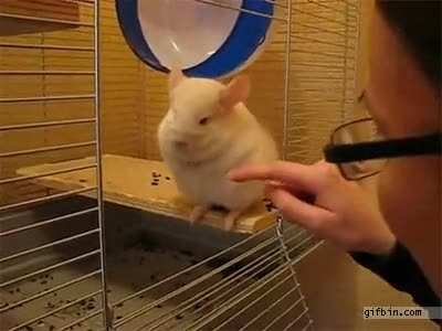"Get your filthy mouth away from me"