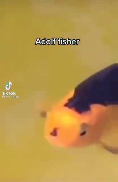 Adolf fisher.