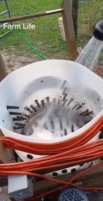 For those who dont know this is how they pluck chicken feathers