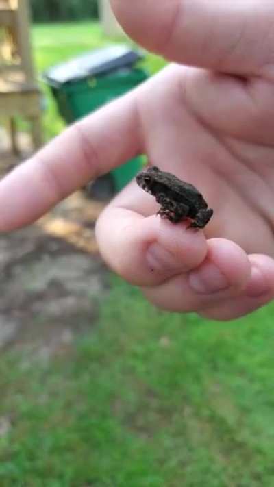 What made me smile today.. this cute little guy I found this morning ?