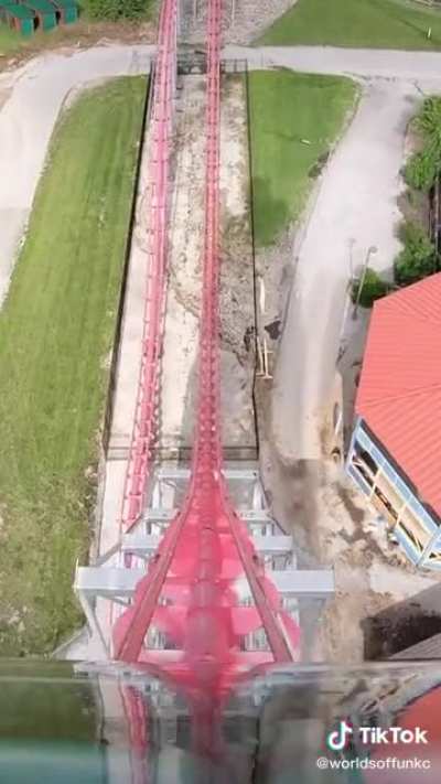 Billy Corgan of Smashing Pumpkins rides a roller coaster