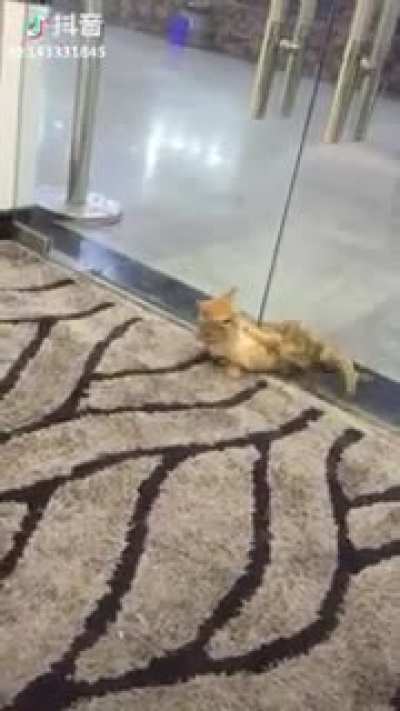 If I commits... I fits...