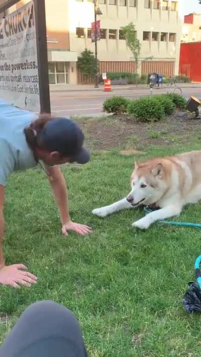 Why u so mad at ground hooman?