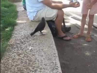 ? Raven asks for a drink