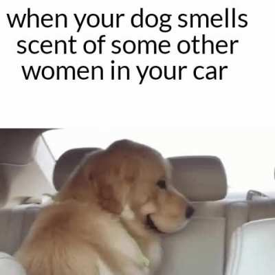 Don't tell my imaginary wife guys