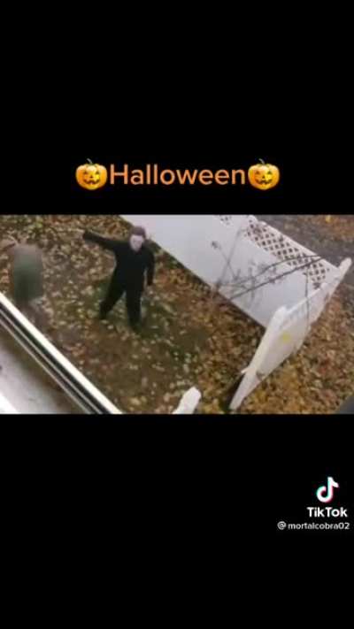 He is watching you ??