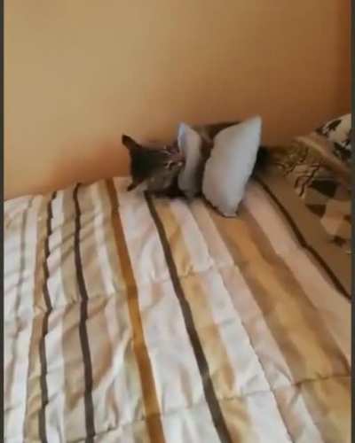 struggling with his pillow?