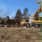 Assembling Trees