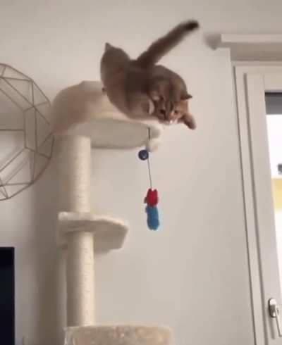 To land gracefully