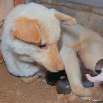 everyone can use a bit of help sometimes