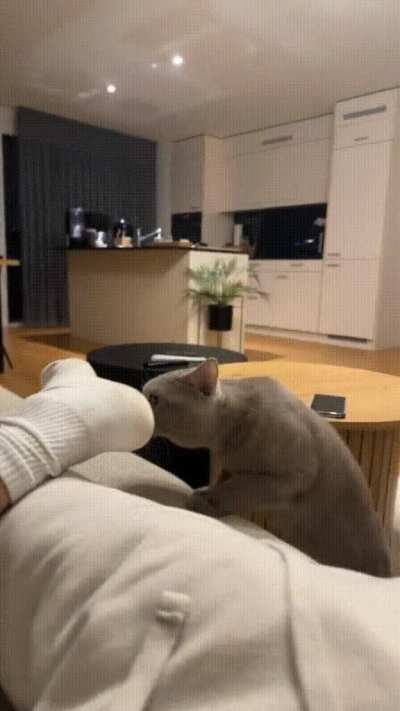 When you remember that smell, but you don't understand where it came from ?