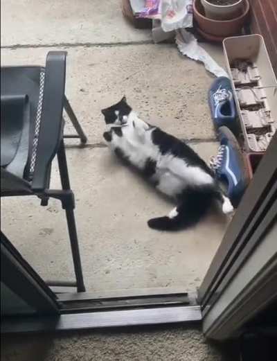 Let me out, I want to lie at the entrance