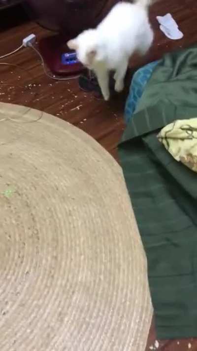 Little jump