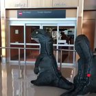 Maybe The Greatest Airport Reunion Ever