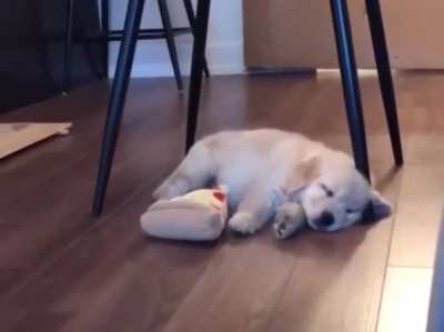 Wait, where did it go? ?