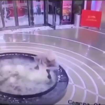Not looking where you are going