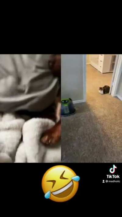 ??? WTH...