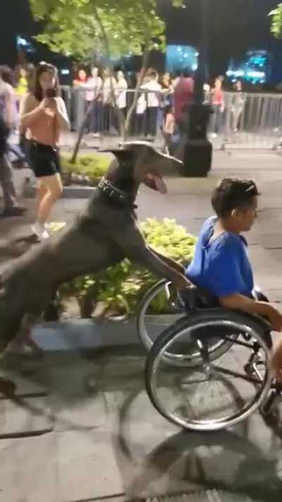 Aww, good boy!