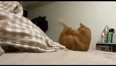 Must not let go of leg. ?